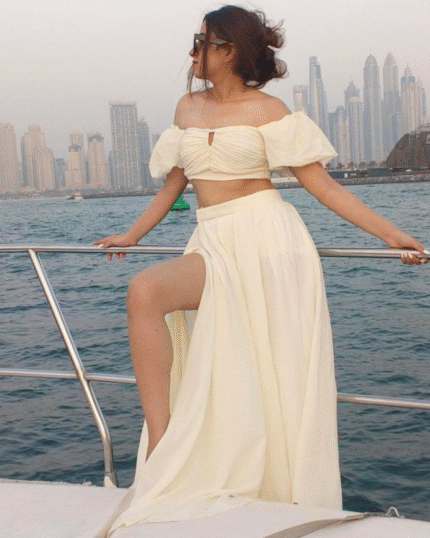 Jasmine Corset Outfit